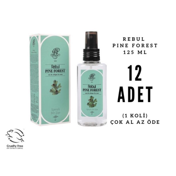 Rebul Pine Forest - Çam Ormanı Edc 125ml Sprey Pet Şişeli Kolonya 12 Adet (1 Koli)