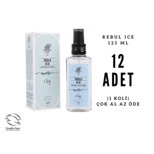 Rebul ICE Edc 125ml Sprey Pet Şişeli Kolonya 12 Adet (1 Koli)